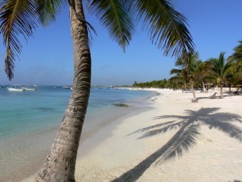 A beach near Hotel Akumal Caribe. Looks like a postcard, but it's real!