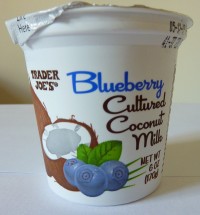 Blueberry coconut milk yogurt